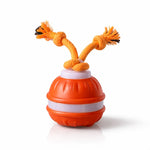 ZenTail™ | Interactive Activity System