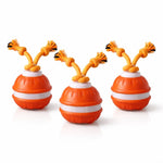 ZenTail™ | Interactive Activity System